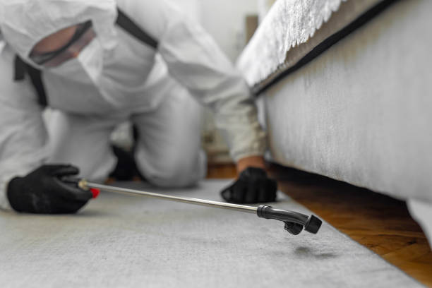 Professional Bed Bug Control technician working in Sagamore, MA