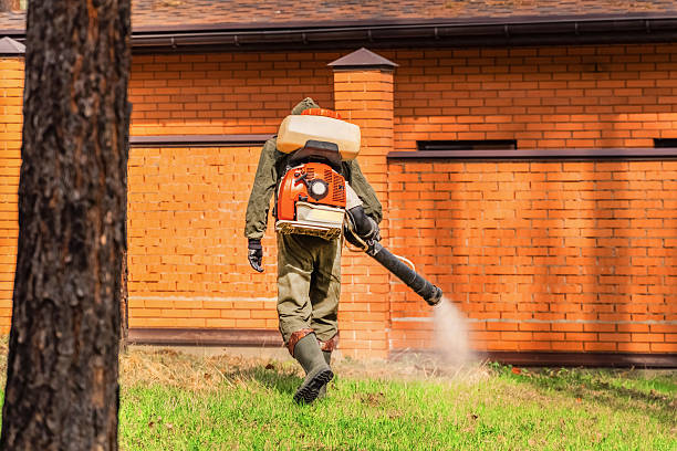 Trusted Fumigation Services service in Sagamore, MA - Nex Pest Control
